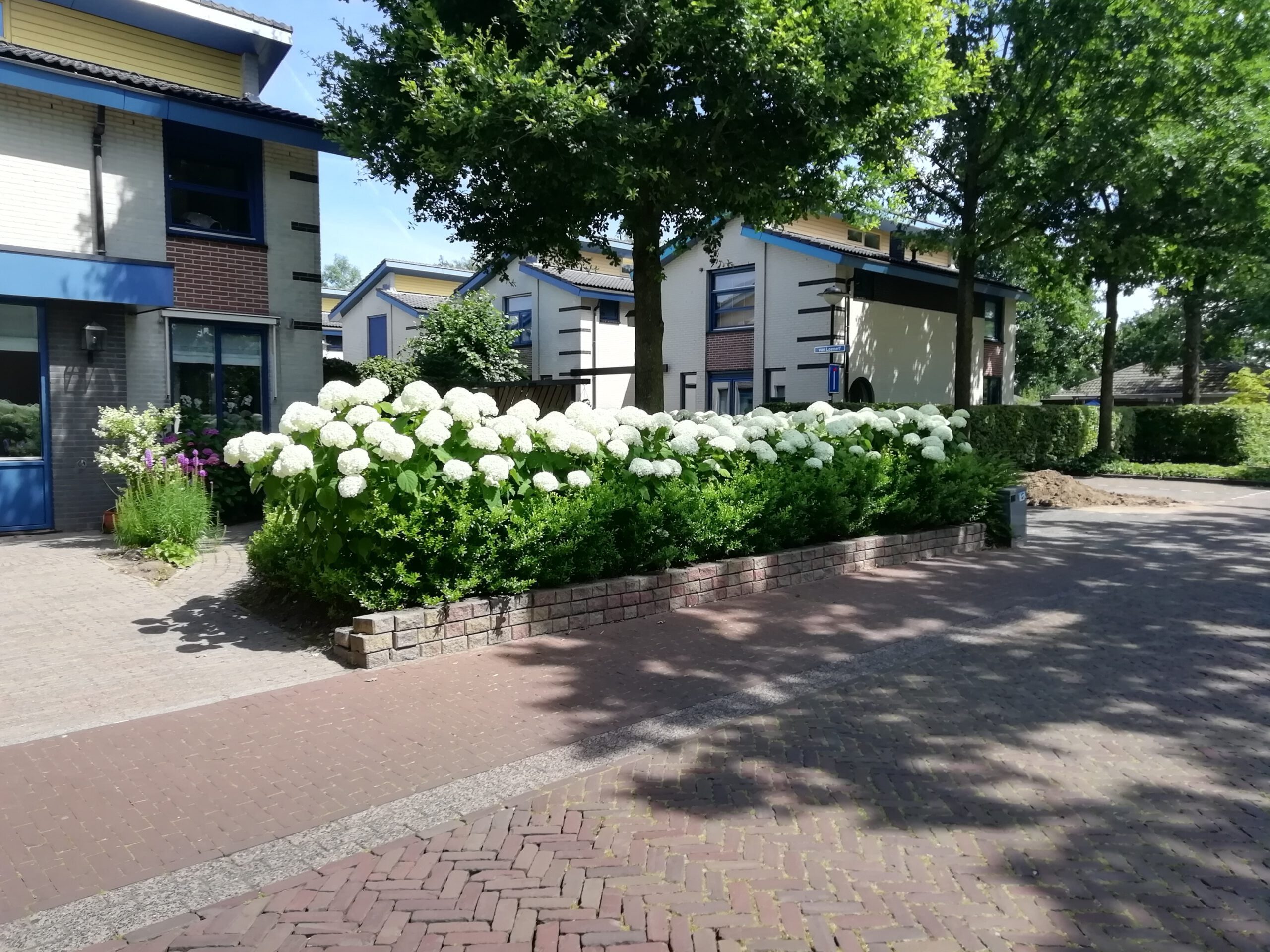 Strong annabelle klant uit Tilburg ,tussen huis en de straat, blikvanger