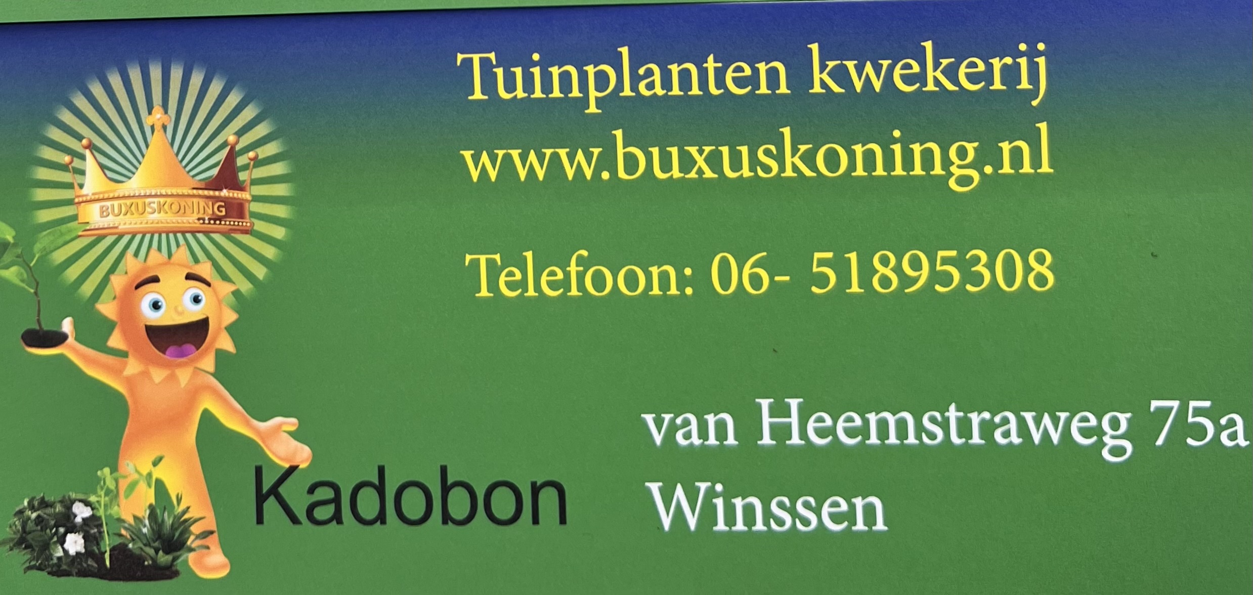 BUXUSKONING KADOBONNEN