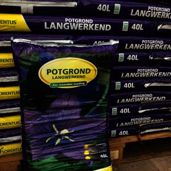 Florentus potgrond premium met 6 maanden voeding, geeft u plant in het eerste jaar 30-40 % extra groei en bloei Florentus potgrond premium met 6 maanden voeding, geeft u plant in het eerste jaar 30-40 % extra groei en bloei
