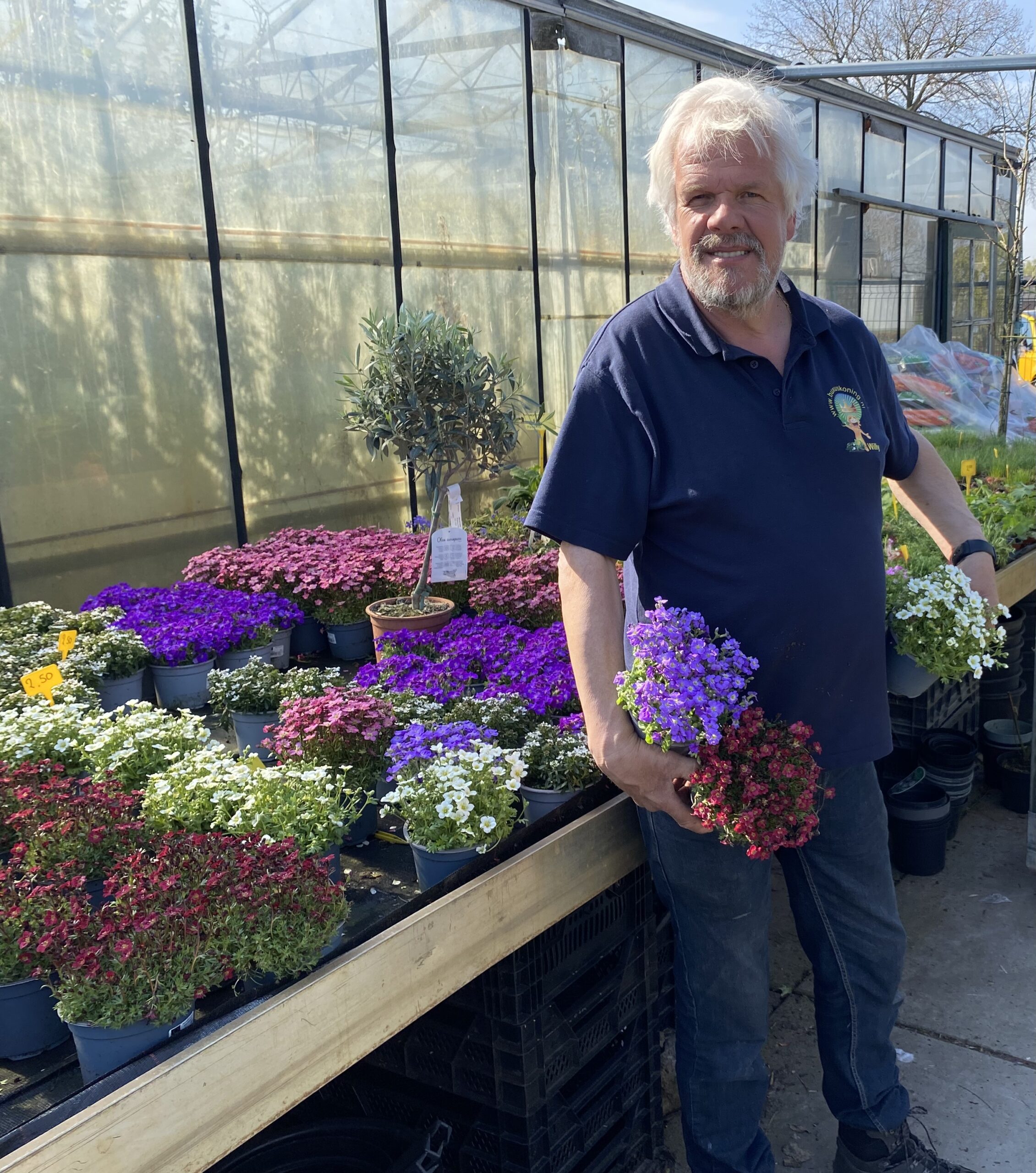 Op koningsdag zijn alle voorjaars bloemen 5 voor €10,00 of €2,50