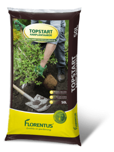 Beuken en Aanplant grond 50L (Topstart)