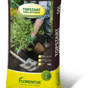 Beuken en Aanplant grond 50L (Topstart)