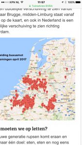 Buxusmot epedemie april en mei 2017 , later kwam gemeente Beuningen en gedeelte Maas & Waal nog aan de beurt.