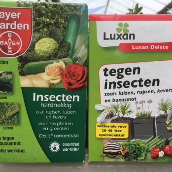 Anti buxusmot rupsen verkrijgbaar
