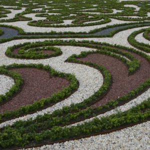 22000 ILEX crenata Dark Green Staan er bij Paleis ‘t Loo
