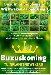 GRATIS boekje , 16 pagina’s van de Top 15 ILEX en Buxusvervangers