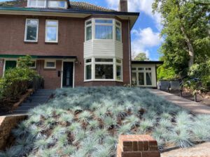 Hoeveel Festuca ‘’Intense Bleu’’. Staan er wel niet in de door Buxuskoning.nl geleverde Siergrassen, in deze tuin in Berg & Dal (Nijmegen)