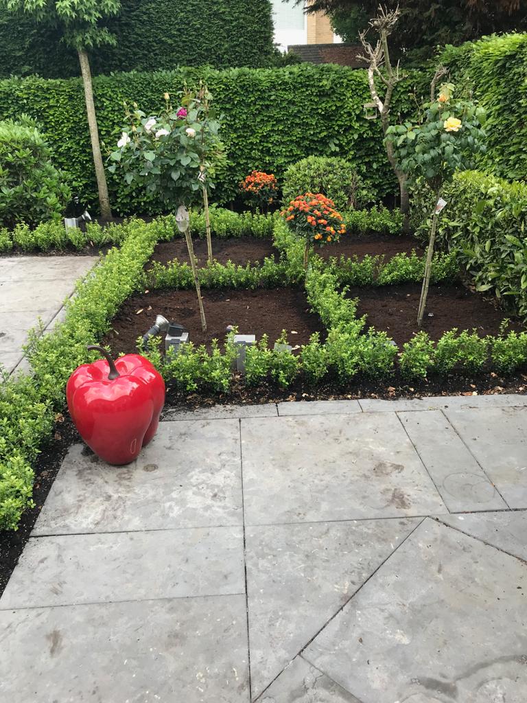 2019 geplant in Amstelveen , 17 cm pot met ilex Caroline Upright