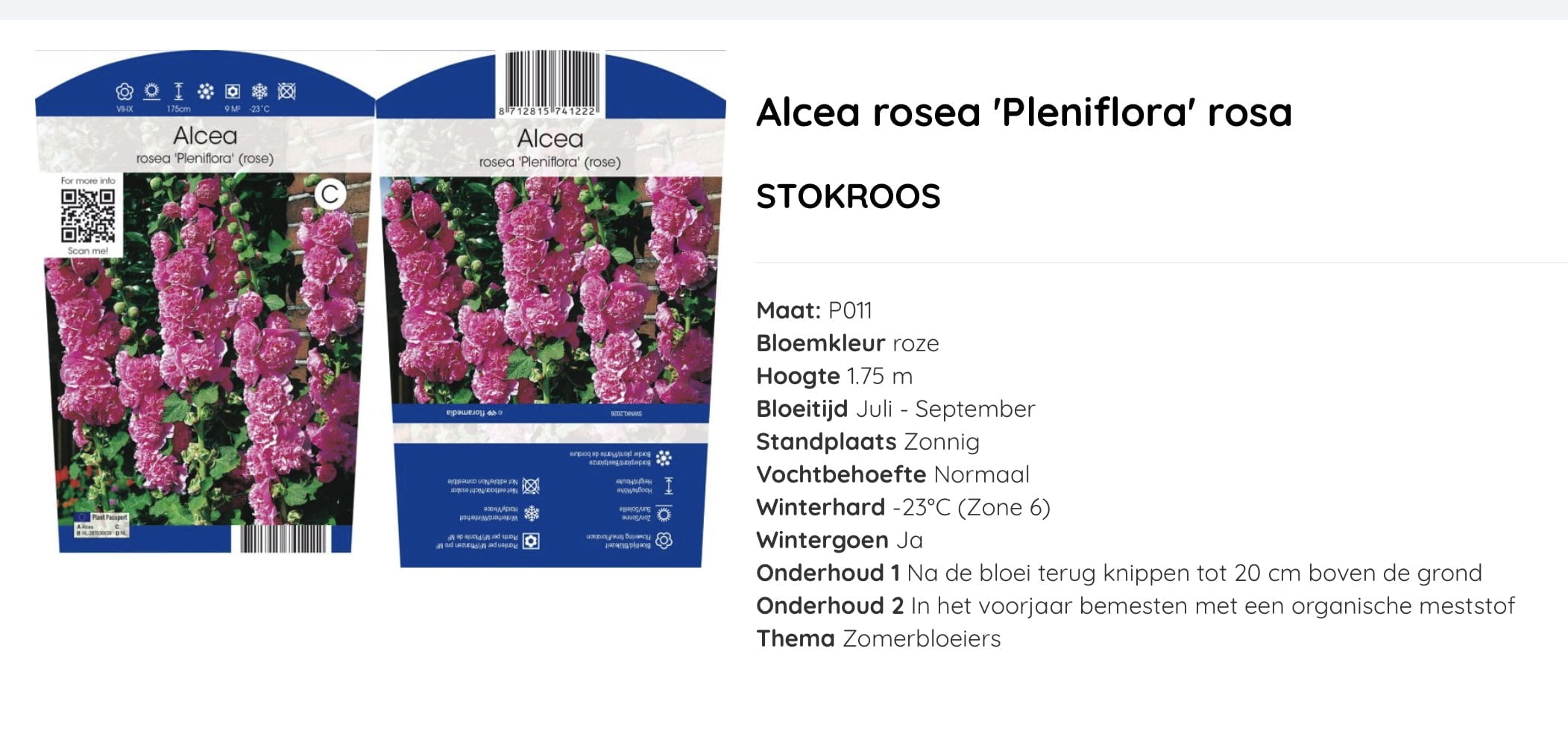 Dubbelbloemmige stokroos,