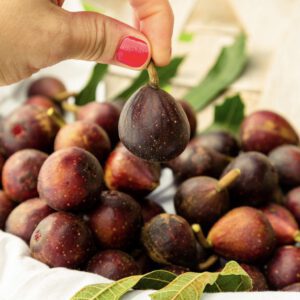 Ficus Carica 'Little Miss Figgy'’- zoete dwerg vijg Nieuw
