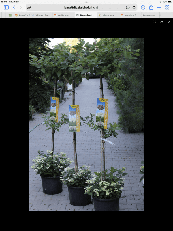 Petite Summer Tripple -3 etages 150 cm bloemen