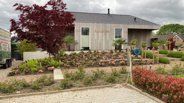 Voorbeeld tuin aanwezig, 3 per m2 encore aangeplant