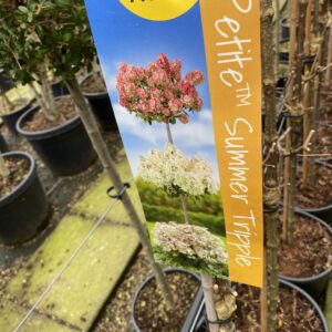 Petite Summer Tripple -3 etages 150 cm bloemen