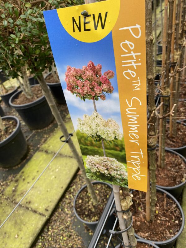 Petite Summer Tripple -3 etages 150 cm bloemen
