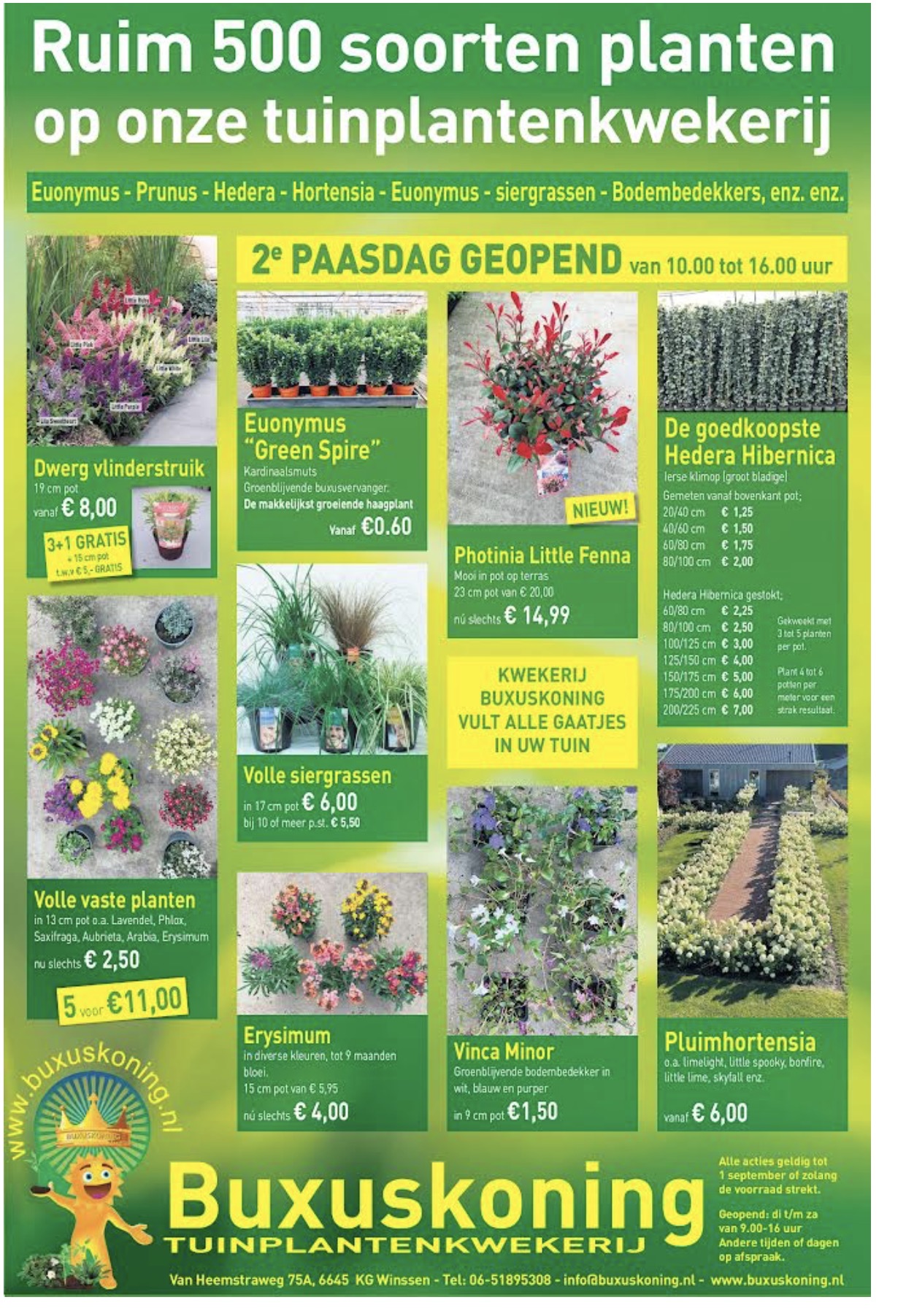 Altijd scherpe tuinplanten acties bij www.buxuskoning.nl
