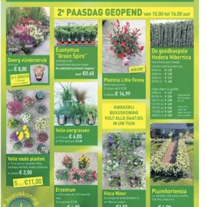 Altijd scherpe tuinplanten acties bij www.buxuskoning.nl