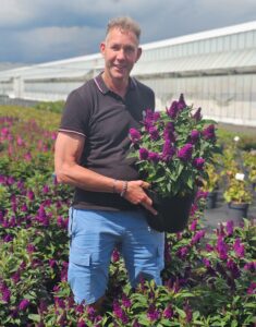 Buddleja davidii Butterfly Candy Little Magenta